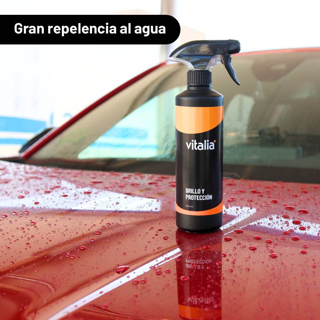 Brillo y Protección 500ml - Cera Carnauba Líquida